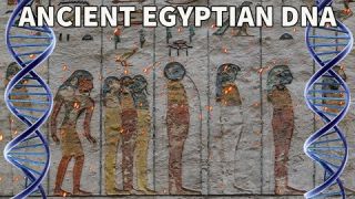 Ancient Egyptian DNA